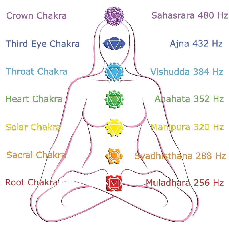 The seven main chakras